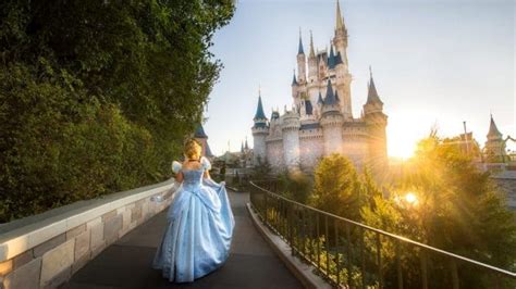stay in disney castle.